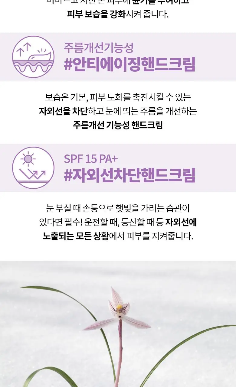 [손티에이징] 이니스프리 한란 핸드 크림 50ml 상세페이지 4